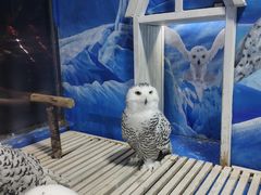 -成都浩海立方海洋公园