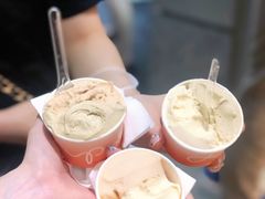 阳山水蜜桃-Dip in Gelato(富民路店)