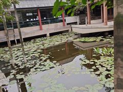 -东江渔村·古典园林·30年粤菜老字号(太和店)