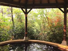 -天目湖涵田半山温泉
