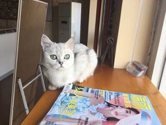 -青春加萌照相馆