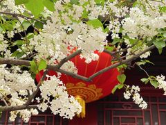-恭王府博物馆