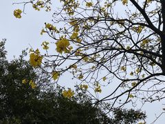 -广州市白云山风景名胜区