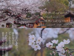 -鸡鸣寺