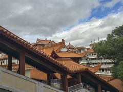 -深圳仙湖植物园