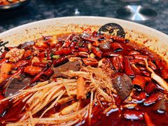 -青城甲(青城山店)