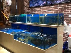 水产区-姜君·千岛湖鱼头馆(浦东大道店)