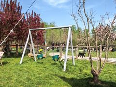 -爪吧宠物乐园 (温榆河示范区店)