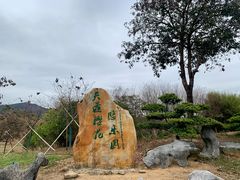 -天适樱花悠乐园