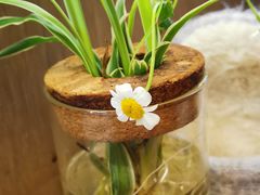 -红小满休闲餐厅(十全街店)