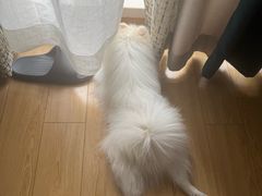 -开元春海鲜烧烤(四流南路总店)