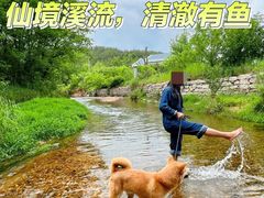 -黄陂区野村谷景区