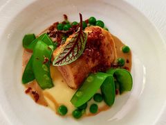 -蝶舍·MAISON PAPILLON