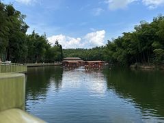 -蜀南竹海景区