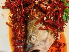 -杨氏青龙虾·羊蝎子(珠江路店)