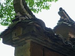 -杨家堂村