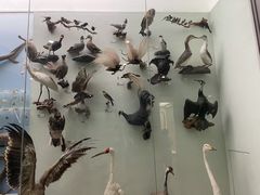 -国家自然博物馆