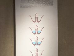 -乐山市博物馆
