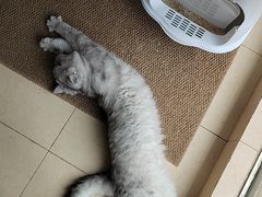 -宠颐生汉谟拉比宠物医院