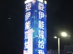 -杭州湾海上花田景区