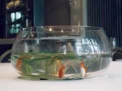 -浦江二号·独栋江景餐厅(滨江大道店)