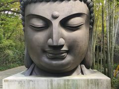 -杭州植物园