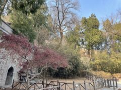 -香山公园