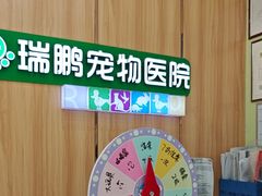 -瑞鹏宠物医院·夜间急症·心超·猫科(祖庙分店)