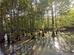 -桤木河湿地公园