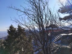 -香山公园