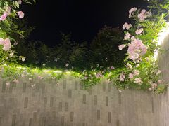 -嘉兴清池酒店温泉