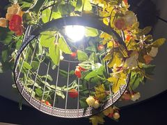 -茶花妹子云南餐厅(传媒大学店)