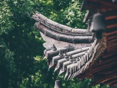 -阿育王寺