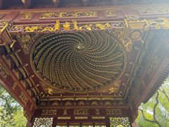 -汇龙潭