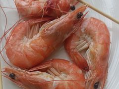 -视界美食自助餐厅·石家庄希尔顿酒店