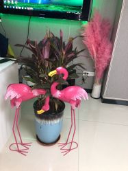 -E.beauty驻颜·痘敏肌调理中心