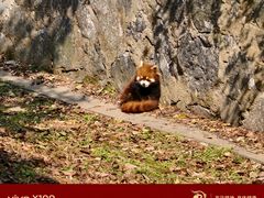 -扬州市茱萸湾风景区
