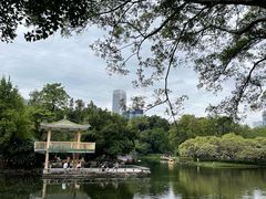 -晓港公园