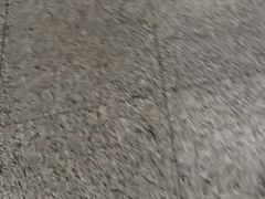 -海淀黄庄(地铁站)