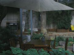 -谷咖啡·鲜花绿植花园餐厅