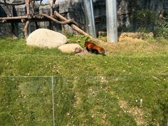 -武汉动物园