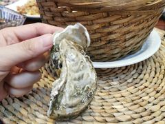 -海食焗(新光天地店)