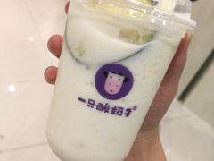 -一只酸奶牛(八一路店)