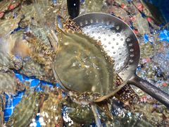 -和源祥·日照菜扛把子(万平口一店)