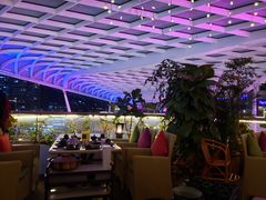 -润园四季椰子鸡火锅(海上世界店)