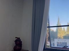 -绿雪芽白茶(浙大华家池校区凯旋路店)