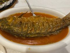 葱椒黄河浸大鲤鱼-豫满楼(郑东新区店)