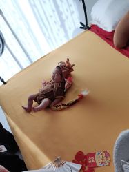 -吉姆叔叔亲子儿童摄影(青岛印象·山店)