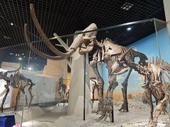 -国家自然博物馆