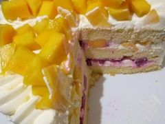 -维尔纳斯·生日蛋糕·动物奶油冰淇淋蛋糕(六里桥店)